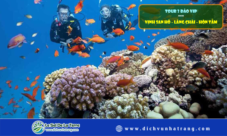 Tour 3 đảo VIP Vịnh San Hô - Làng Chài - Hòn Tằm 